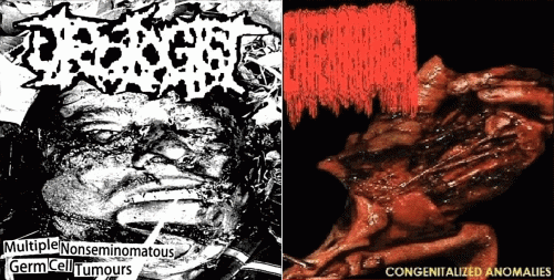 Urologist : Enterorrhagia - Urologist